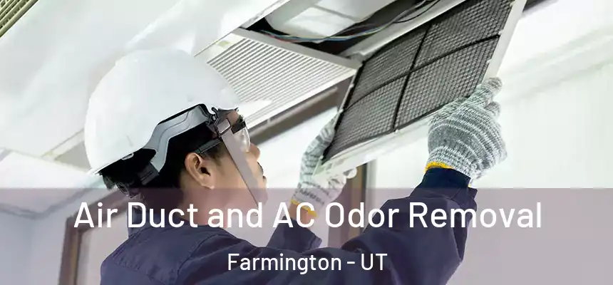  Air Duct and AC Odor Removal Farmington - UT