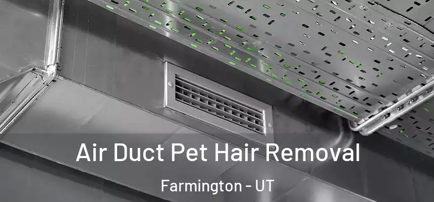 Air Duct Pet Hair Removal Farmington - UT