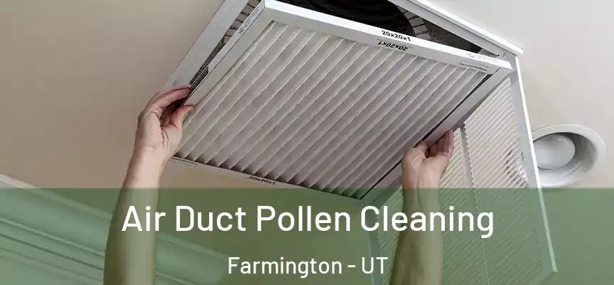 Air Duct Pollen Cleaning Farmington - UT