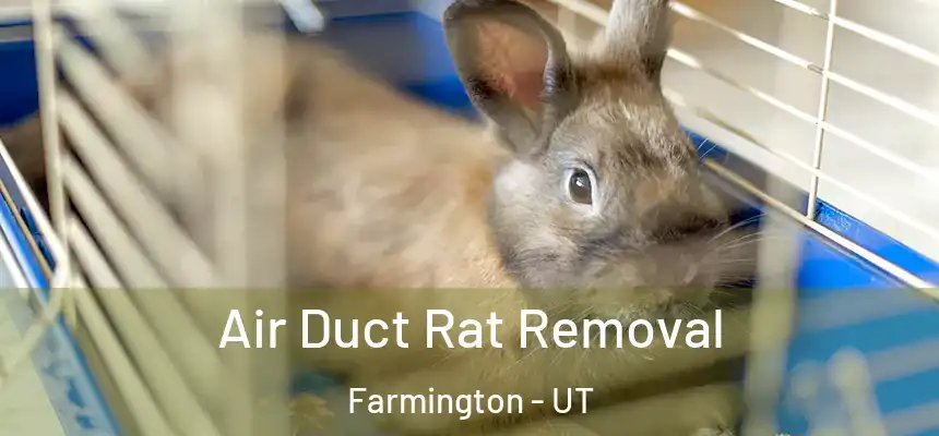Air Duct Rat Removal Farmington - UT