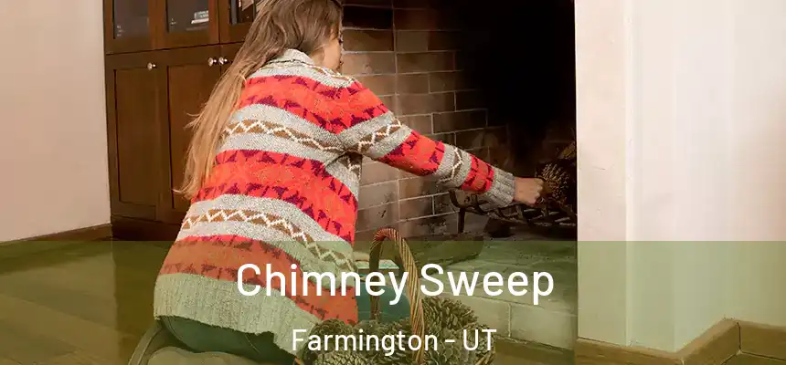 Chimney Sweep Farmington - UT