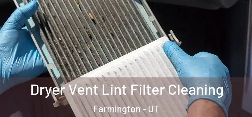 Dryer Vent Lint Filter Cleaning Farmington - UT