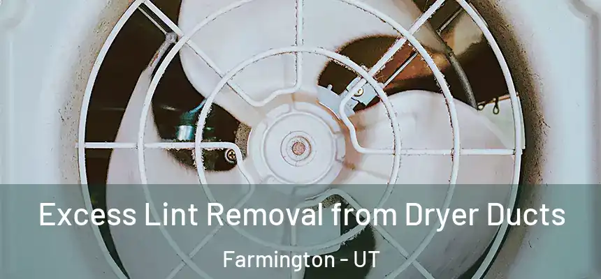 Excess Lint Removal from Dryer Ducts Farmington - UT