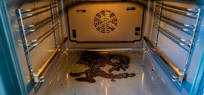 Our Dryer Vent Mold Cleaning Services in Farmington, UT