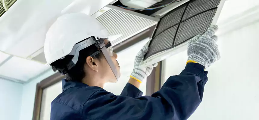 Our Mold & Mildew Removal from Air Ducts Services in Farmington, UT