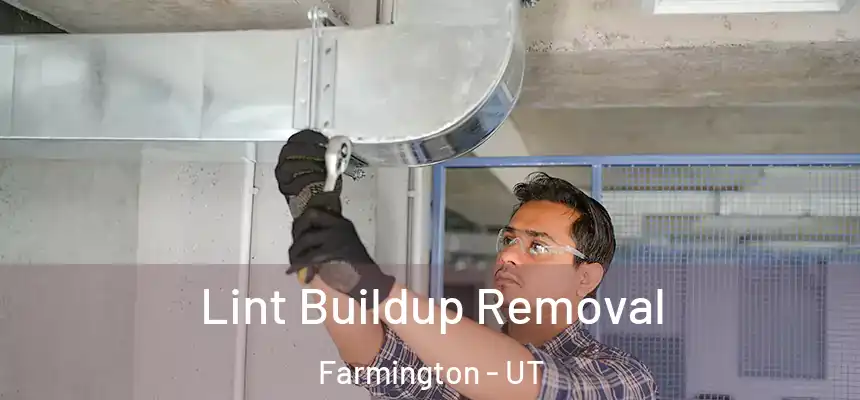 Lint Buildup Removal Farmington - UT