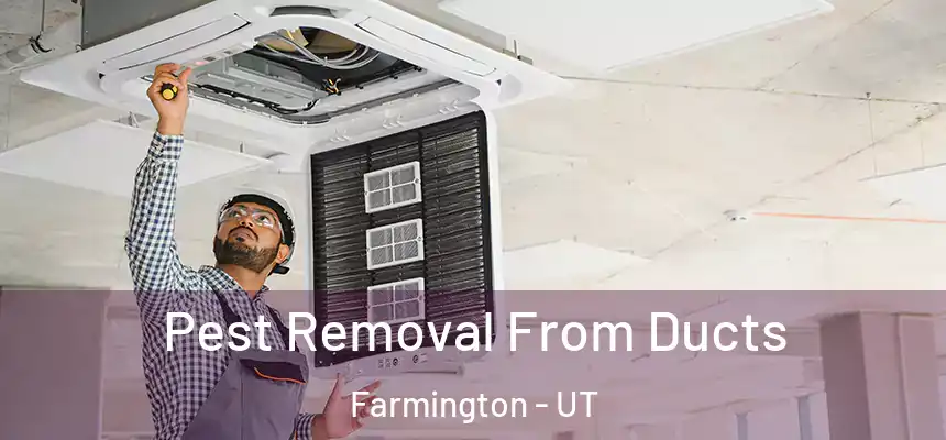  Pest Removal From Ducts Farmington - UT
