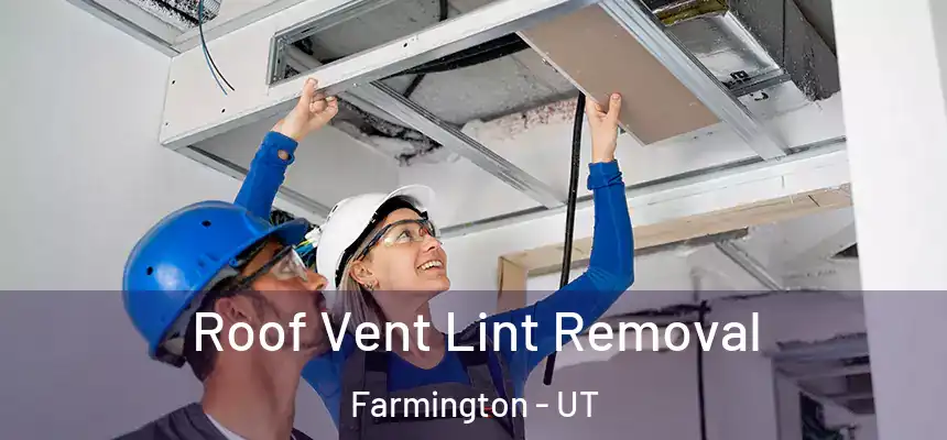  Roof Vent Lint Removal Farmington - UT