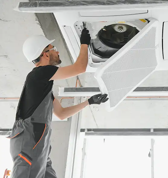 About Air Duct Rodent Removal in Farmington, UT