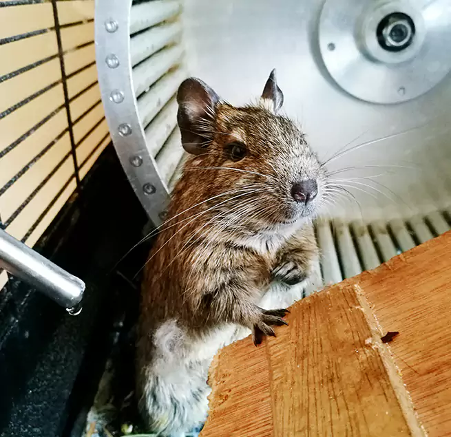 Why Homeowners & Businesses Trust Us Farmington, UT